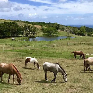 Ferienhaus La Ferme Des Etangs, Riviere-Salee